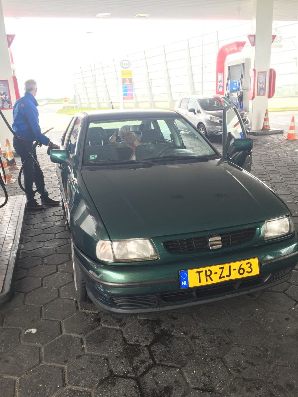 2016 Dion (1).JPG