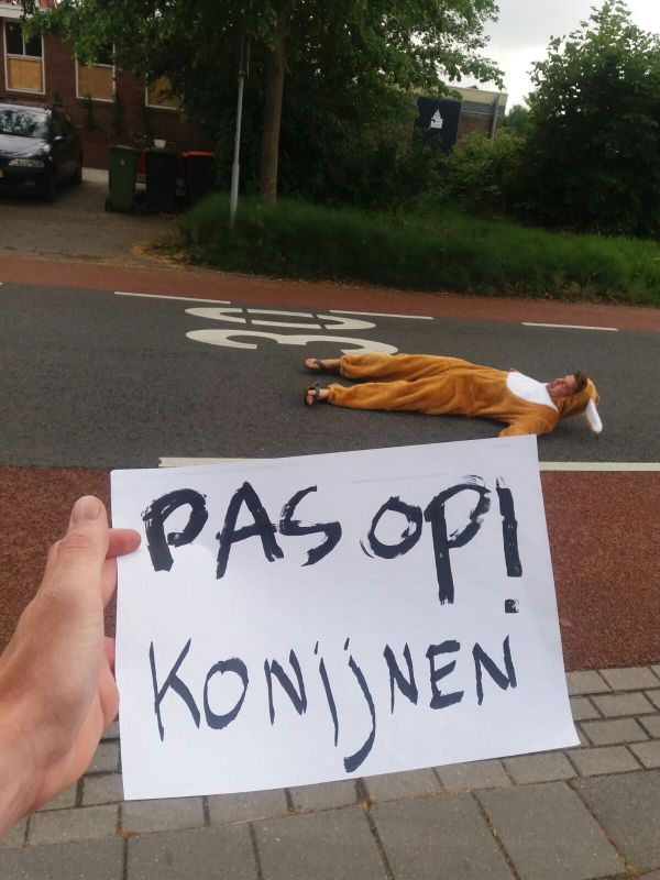 2017 De Laatkomers 12.png